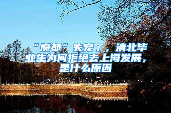 “魔都”失宠了，清北毕业生为何拒绝去上海发展，是什么原因
