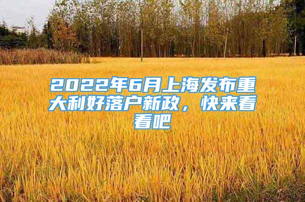 2022年6月上海发布重大利好落户新政，快来看看吧