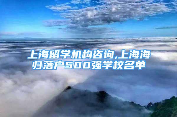 上海留学机构咨询,上海海归落户500强学校名单