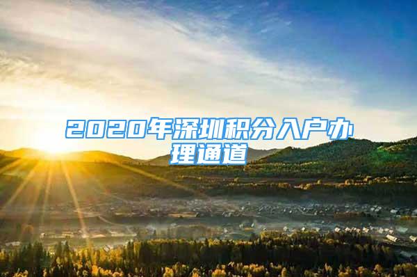 2020年深圳积分入户办理通道
