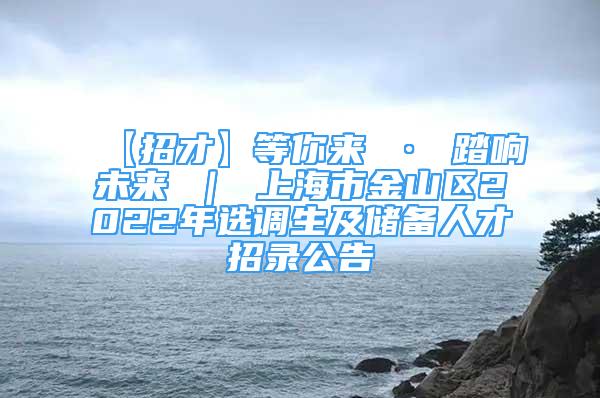 【招才】等你来 · 踏响未来 ｜ 上海市金山区2022年选调生及储备人才招录公告