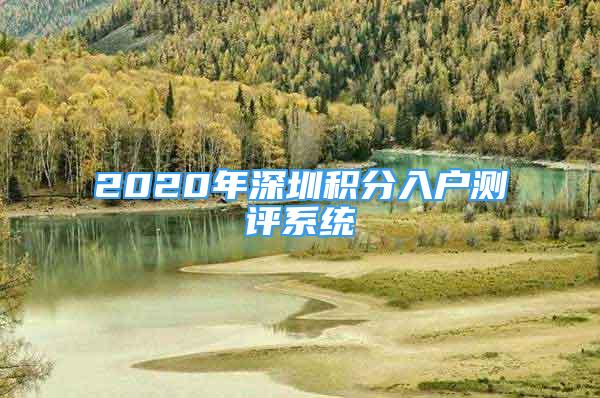 2020年深圳积分入户测评系统