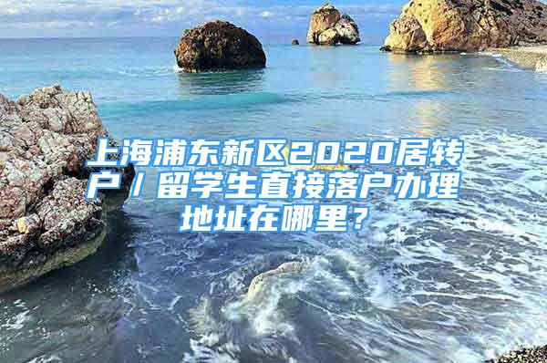 上海浦东新区2020居转户／留学生直接落户办理地址在哪里？