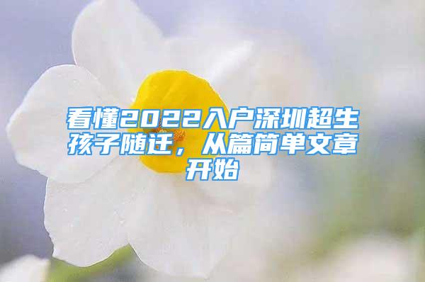 看懂2022入户深圳超生孩子随迁，从篇简单文章开始