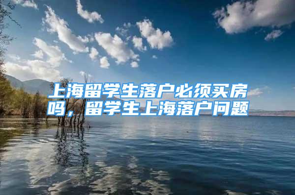 上海留学生落户必须买房吗，留学生上海落户问题