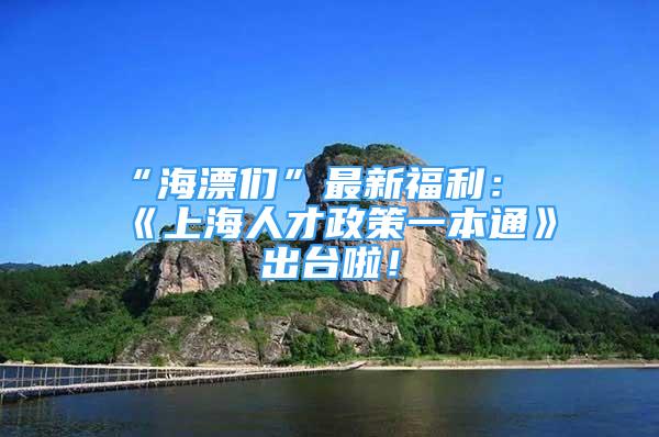 “海漂们”最新福利：《上海人才政策一本通》出台啦！