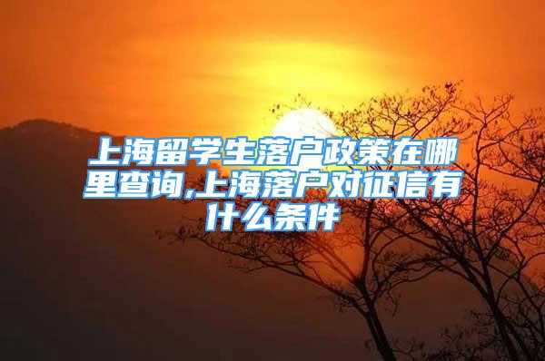 上海留学生落户政策在哪里查询,上海落户对征信有什么条件