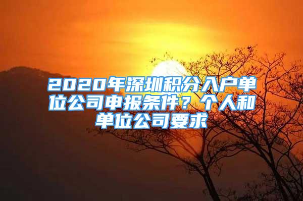 2020年深圳积分入户单位公司申报条件？个人和单位公司要求