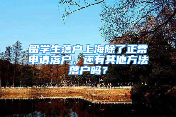 留学生落户上海除了正常申请落户，还有其他方法落户吗？