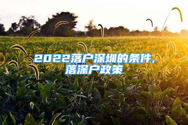 2022落户深圳的条件,落深户政策