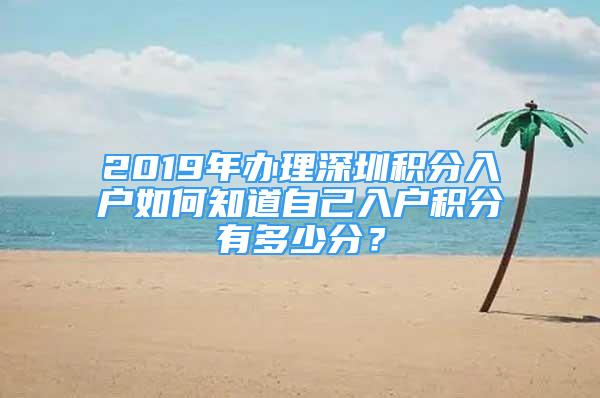 2019年办理深圳积分入户如何知道自己入户积分有多少分？