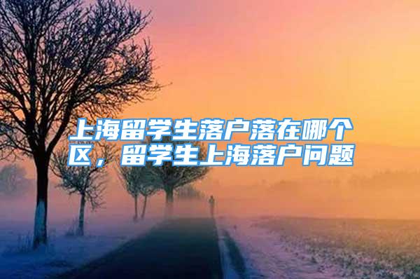 上海留学生落户落在哪个区，留学生上海落户问题