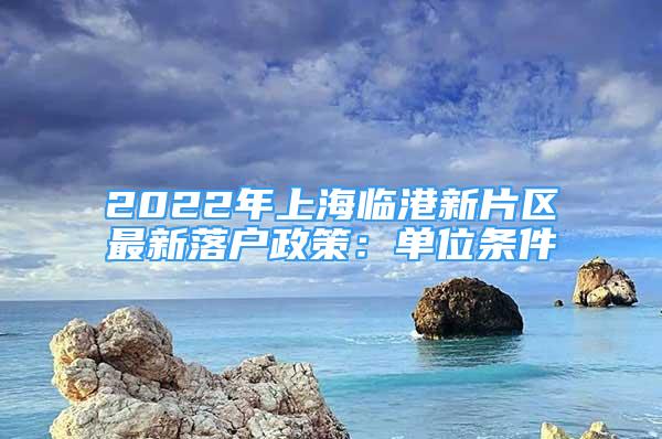 2022年上海临港新片区最新落户政策：单位条件