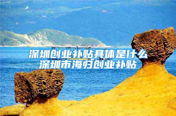 深圳创业补贴具体是什么深圳市海归创业补贴