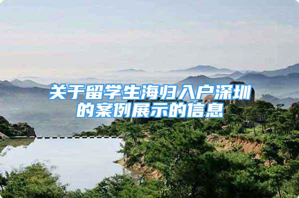 关于留学生海归入户深圳的案例展示的信息