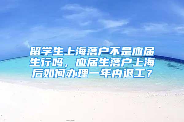 留学生上海落户不是应届生行吗，应届生落户上海后如何办理一年内退工？