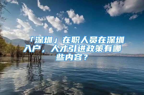 「深圳」在职人员在深圳入户，人才引进政策有哪些内容？