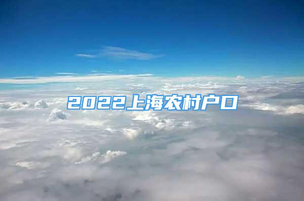 2022上海农村户口