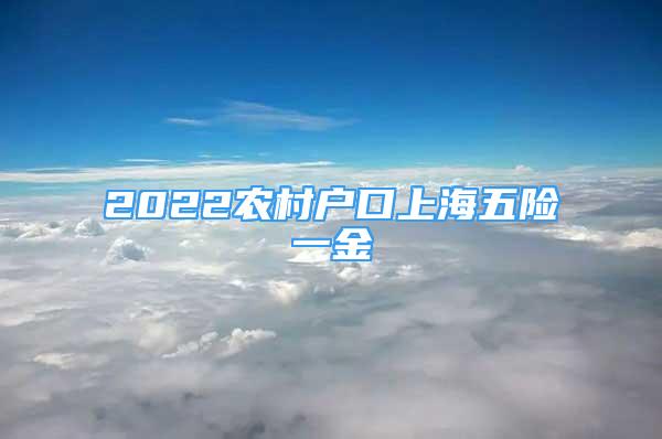 2022农村户口上海五险一金
