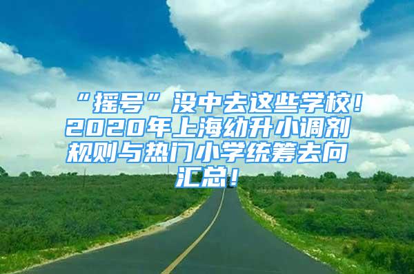 “摇号”没中去这些学校！2020年上海幼升小调剂规则与热门小学统筹去向汇总！