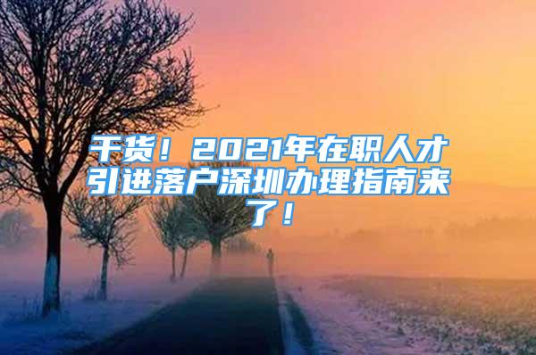 干货！2021年在职人才引进落户深圳办理指南来了！