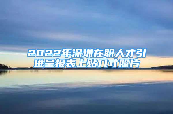 2022年深圳在职人才引进呈报表上贴几寸照片