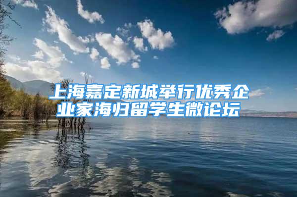 上海嘉定新城举行优秀企业家海归留学生微论坛