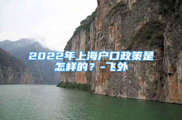 2022年上海户口政策是怎样的？-飞外