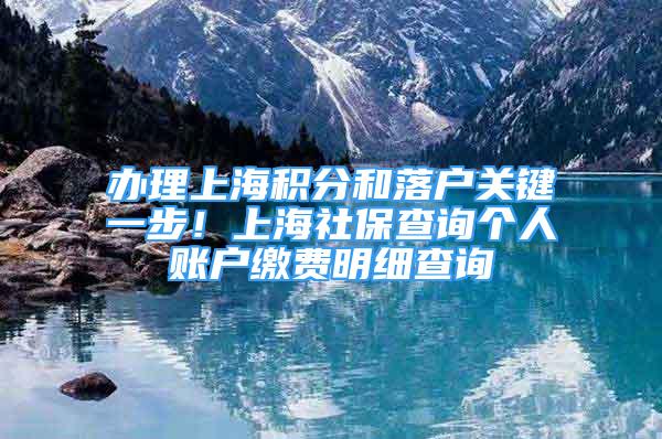 办理上海积分和落户关键一步！上海社保查询个人账户缴费明细查询