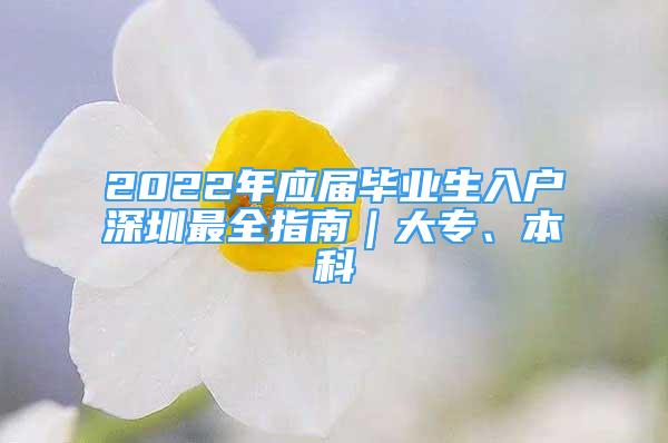 2022年应届毕业生入户深圳最全指南｜大专、本科