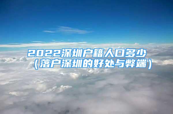 2022深圳户籍人口多少（落户深圳的好处与弊端）