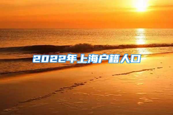 2022年上海户籍人口