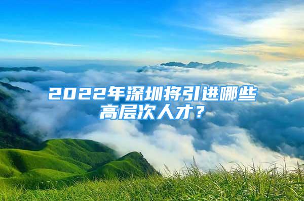 2022年深圳将引进哪些高层次人才？