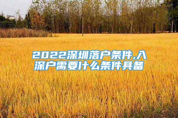 2022深圳落户条件,入深户需要什么条件具备