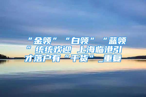 “金领”“白领”“蓝领”统统欢迎 上海临港引才落户有“干货”_重复