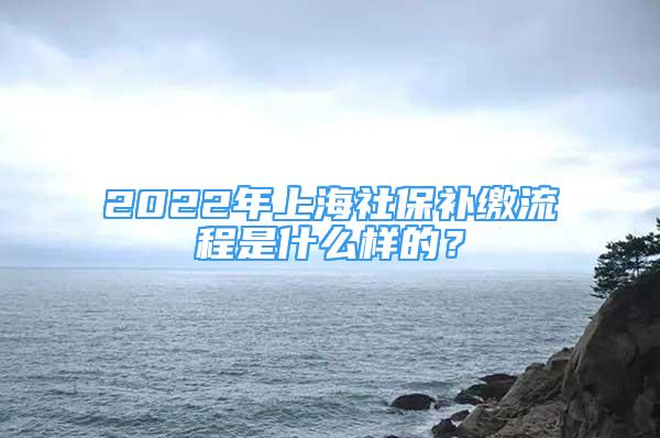 2022年上海社保补缴流程是什么样的？