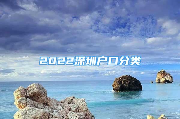 2022深圳户口分类