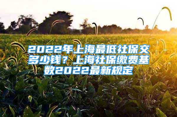 2022年上海最低社保交多少钱？上海社保缴费基数2022最新规定