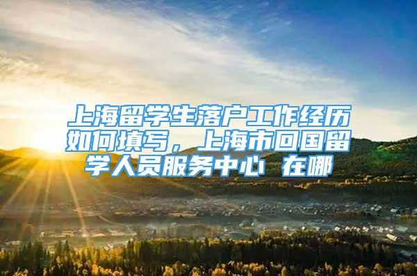 上海留学生落户工作经历如何填写，上海市回国留学人员服务中心 在哪