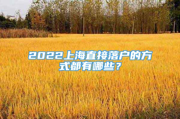 2022上海直接落户的方式都有哪些？