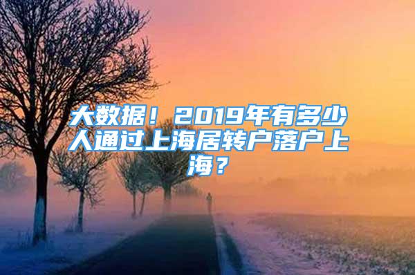 大数据！2019年有多少人通过上海居转户落户上海？