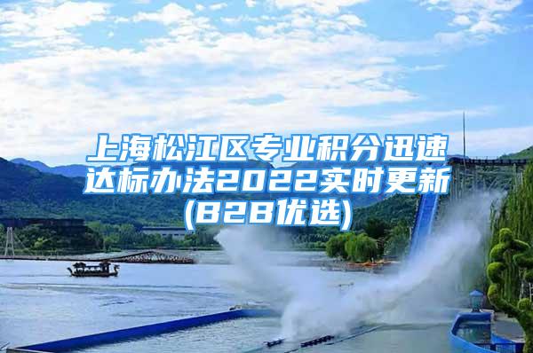 上海松江区专业积分迅速达标办法2022实时更新(B2B优选)