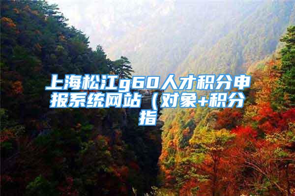 上海松江g60人才积分申报系统网站（对象+积分指