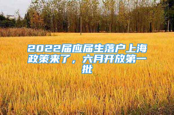 2022届应届生落户上海政策来了，六月开放第一批