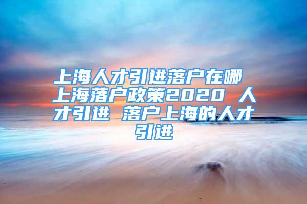 上海人才引进落户在哪 上海落户政策2020 人才引进 落户上海的人才引进