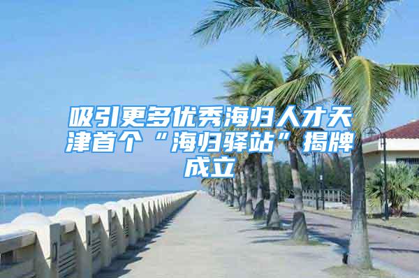 吸引更多优秀海归人才天津首个“海归驿站”揭牌成立