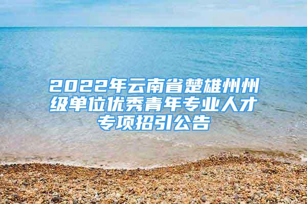 2022年云南省楚雄州州级单位优秀青年专业人才专项招引公告