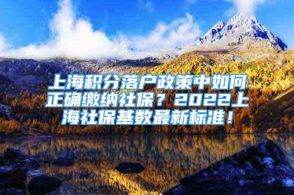 上海积分落户政策中如何正确缴纳社保？2022上海社保基数最新标准！