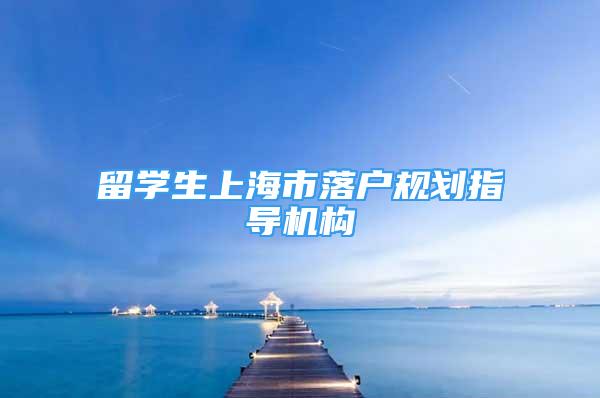 留学生上海市落户规划指导机构