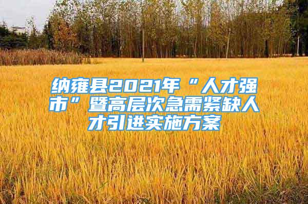 纳雍县2021年“人才强市”暨高层次急需紧缺人才引进实施方案